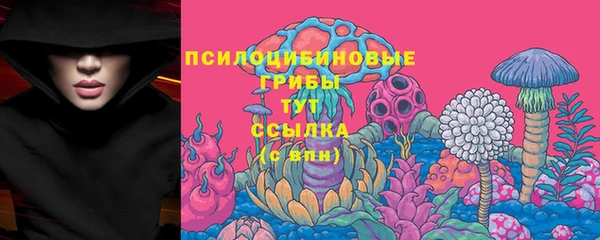 Альфа ПВП Абдулино