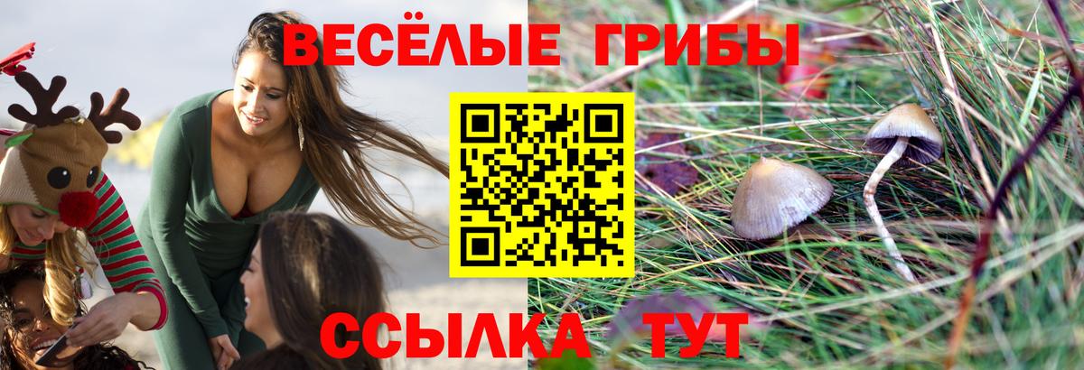 Галлюциногенные грибы мухоморы Уфа