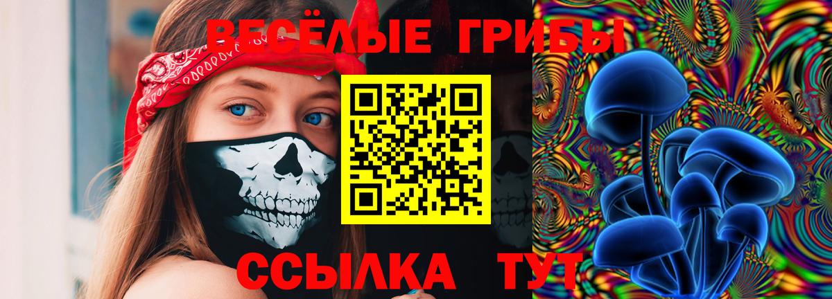 Псилоцибиновые грибы Cubensis  Галлюциногенные грибы GOLDEN TEACHER  Уфа  Вход с VPN 